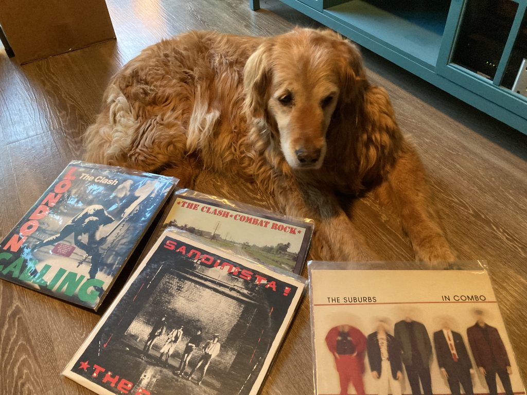 Chewy & Records Photo by Jonny